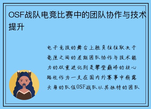 OSF战队电竞比赛中的团队协作与技术提升