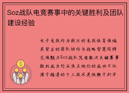 Soz战队电竞赛事中的关键胜利及团队建设经验